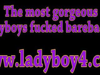Amatieri aziāti pusaudze ladyboy ir a liels dzimumloceklis un aizņem viņam anāls